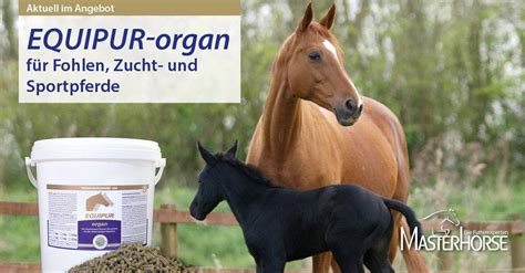 Masterhorse Futterexperten .